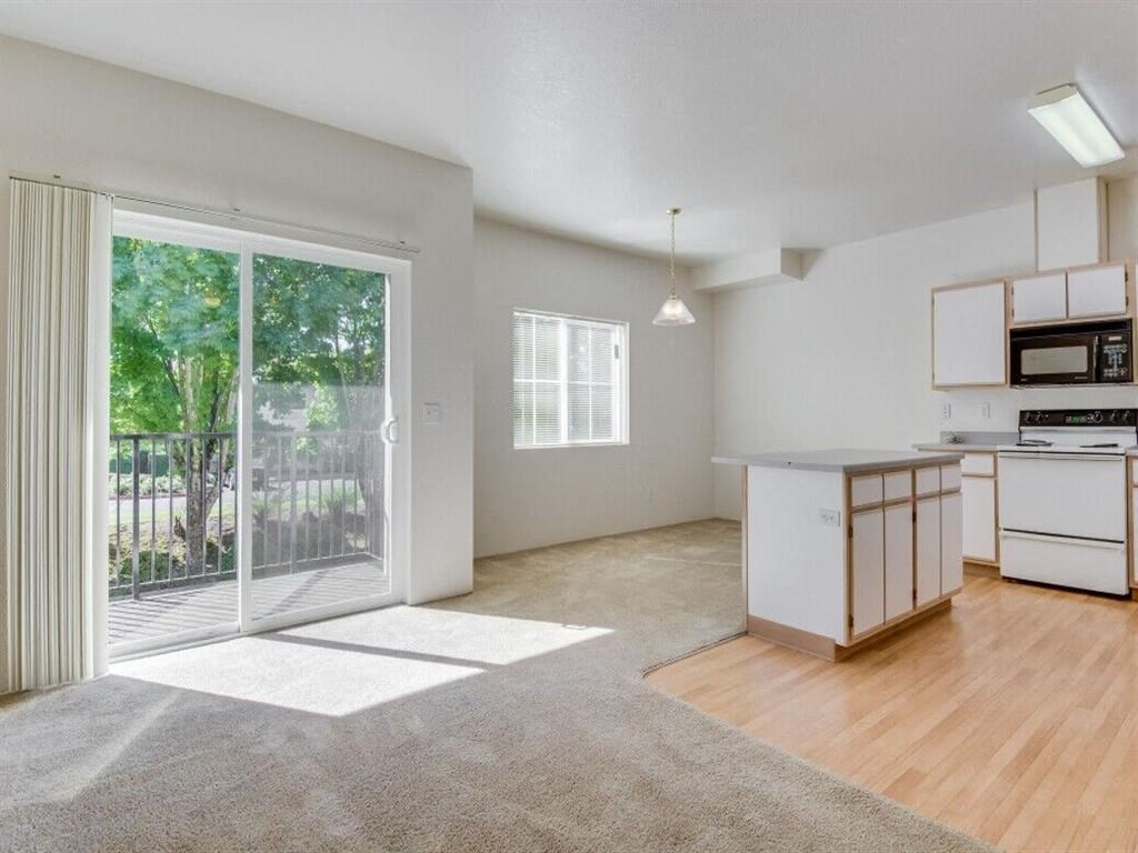 Living Room and Kitchen