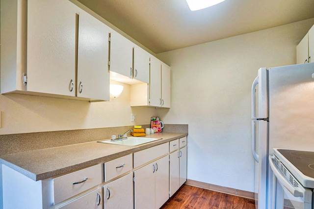 1-bedroom apartment at Maple Terrace Apartments in Hillsboro, OR