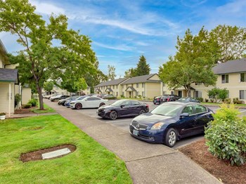 Parking Lot - Photo Gallery 6