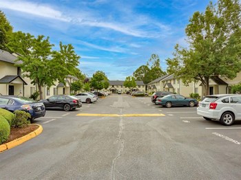 Driveway - Photo Gallery 3