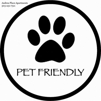 Pet Friendly - Photo Gallery 6