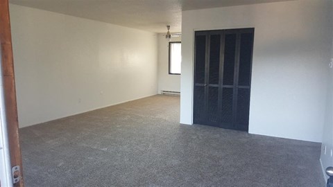 an empty living room with a black door