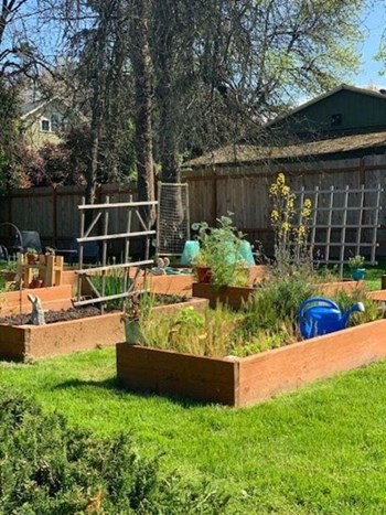 Garden - Photo Gallery 3