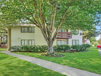 Tree - Photo Gallery 7