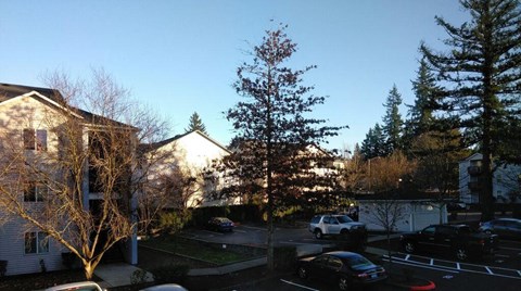 Farisswood Apartments Parking Lot