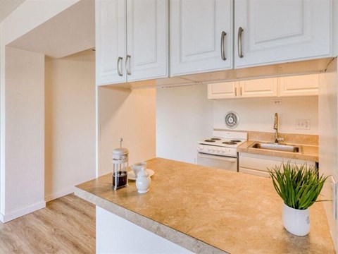 A kitchen with a countertop and cabinets above it.