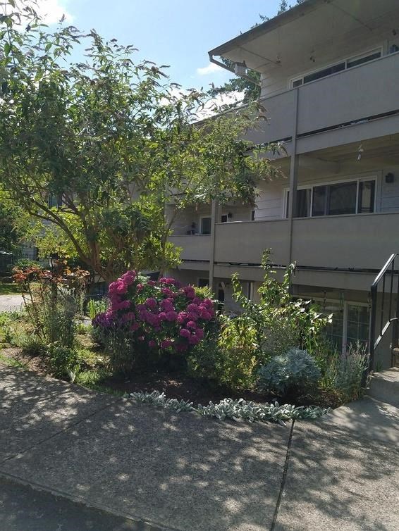 Rochelle Apartments Exterior