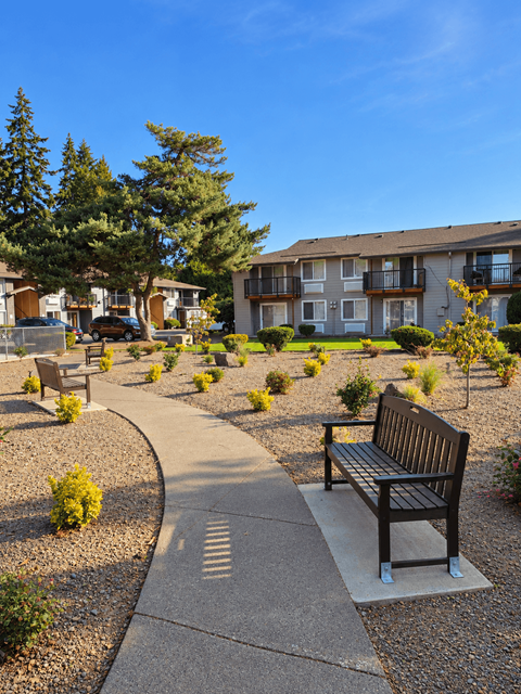 A park with a bench and a pathway.