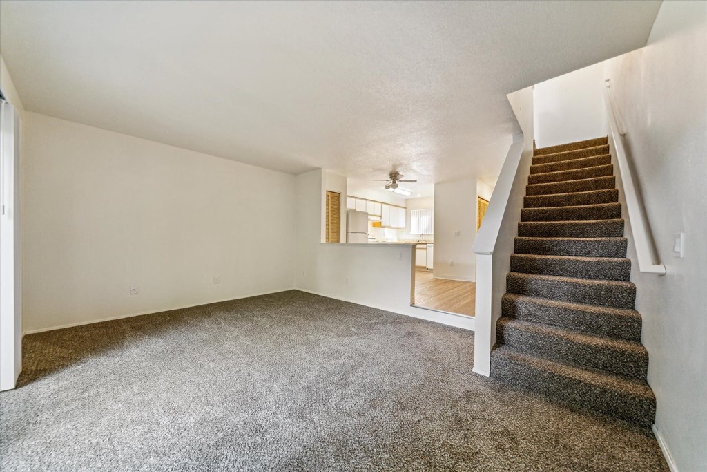 Tuxedo Park Apartments Living Room