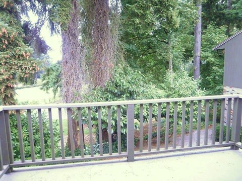 Covington Court Apartments Patio View