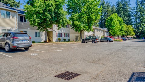 Windsor Manor Apartments Parking Lot