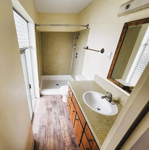 A bathroom with a sink, mirror, and shower.
