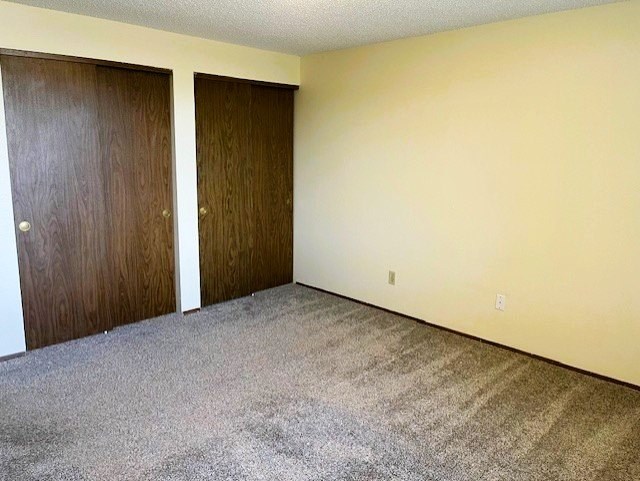 A room with two brown doors and a carpeted floor.