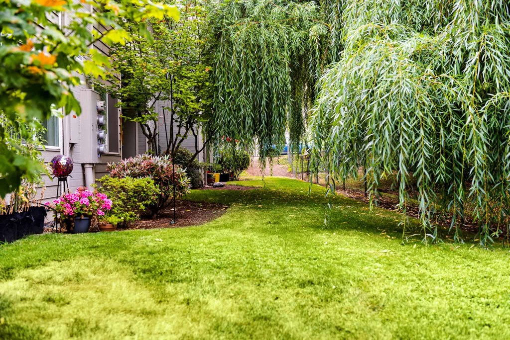 Cedar Grove Apartments Garden