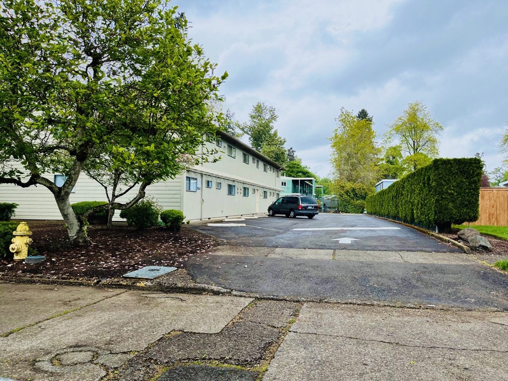 Bush Park Apartments Parking Lot