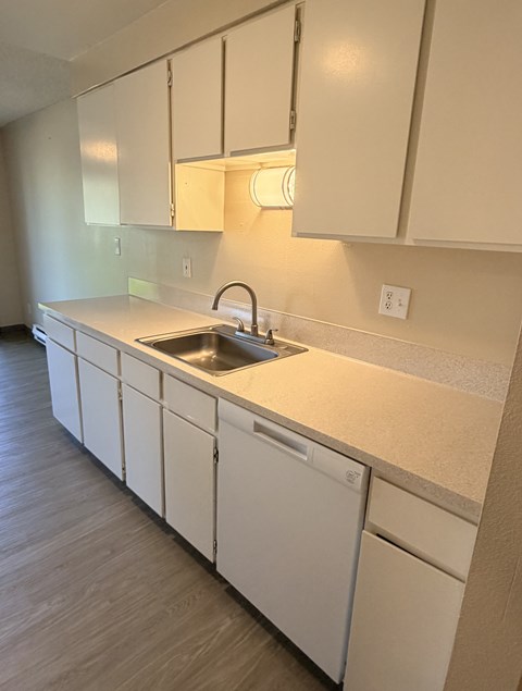 A kitchen with white cabinets and a sink.