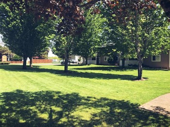 Courtyard View - Photo Gallery 4