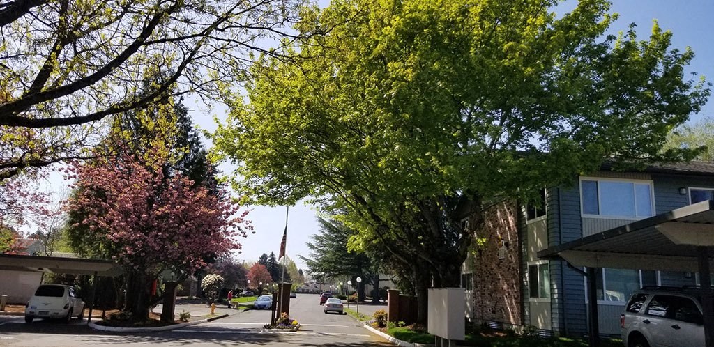 Driveway at Royal Greens Apartments, Gresham, OR