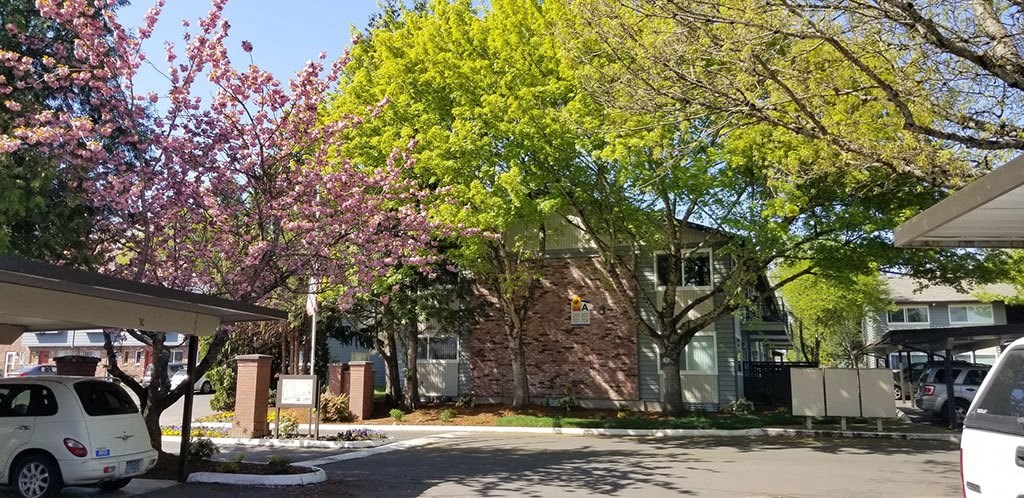 Tree at Royal Greens Apartments, Gresham, OR