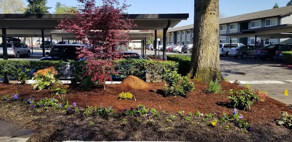 Parking Lot at Royal Greens Apartments, Gresham, OR