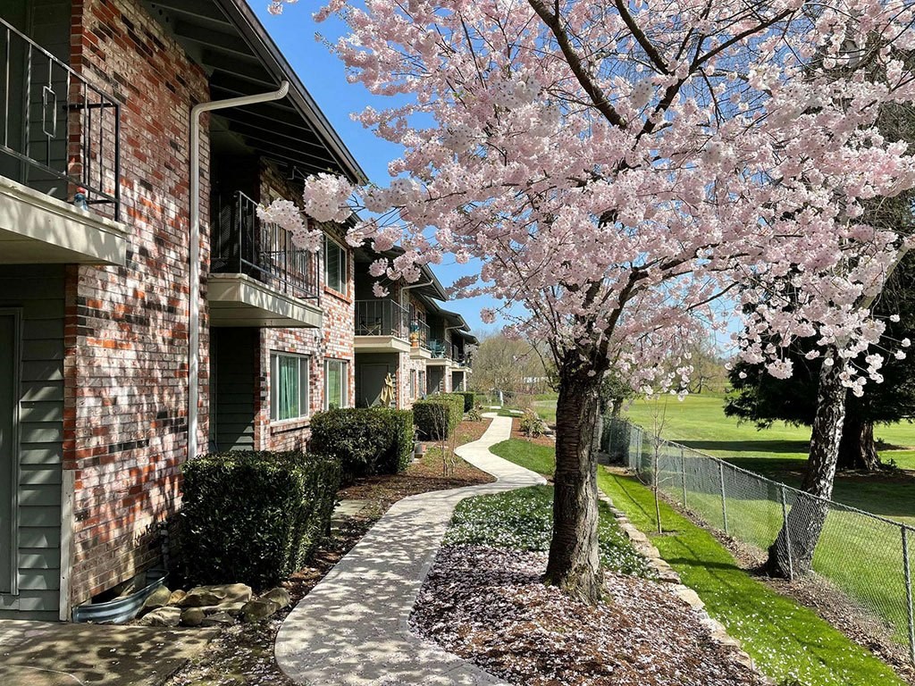 Cherry Blossom at Royal Greens Apartments, Gresham, OR