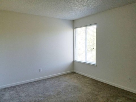 Birch Meadow Apartments  Room