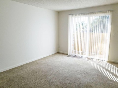 Birch Meadow Apartments  Living Area
