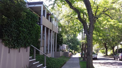 A tree is next to a building with a staircase.