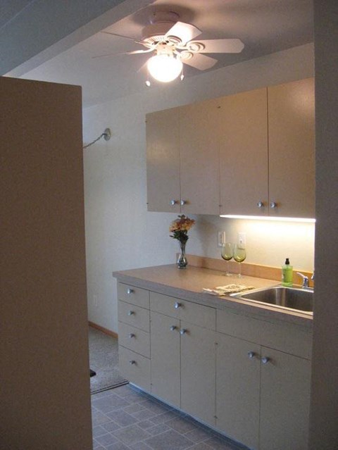 A kitchen with a sink and a fan.