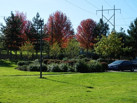 Springwater Trail Apartments Outdoor Area