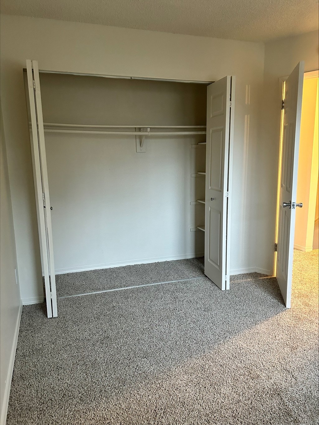 Mt. Pleasant Apartments Bedroom Closet