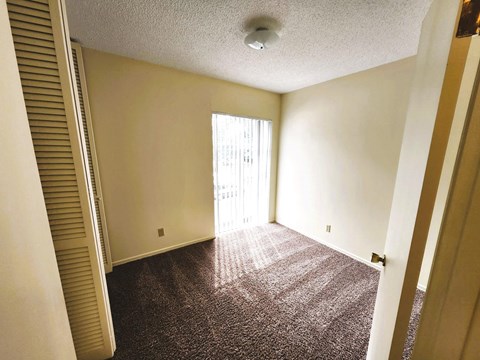 A room with a carpeted floor and a window letting in sunlight.