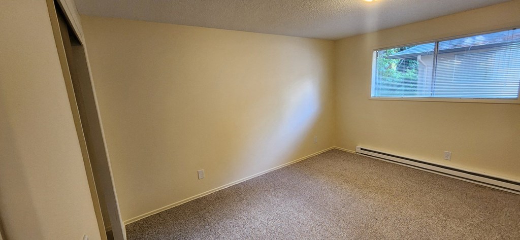 Nell Anna Court room with a window and carpeted floor.
