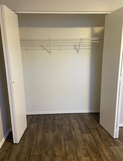 A white closet with wood flooring and a white door.