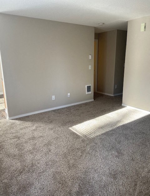 A room with a carpet and a door.