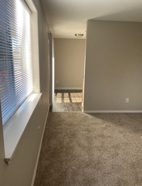A hallway with a carpeted floor and a window with blinds on the left side.