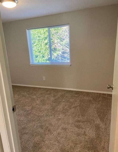 A room with a carpeted floor and a window.