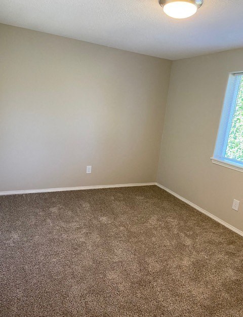 A room with a carpeted floor and a window.