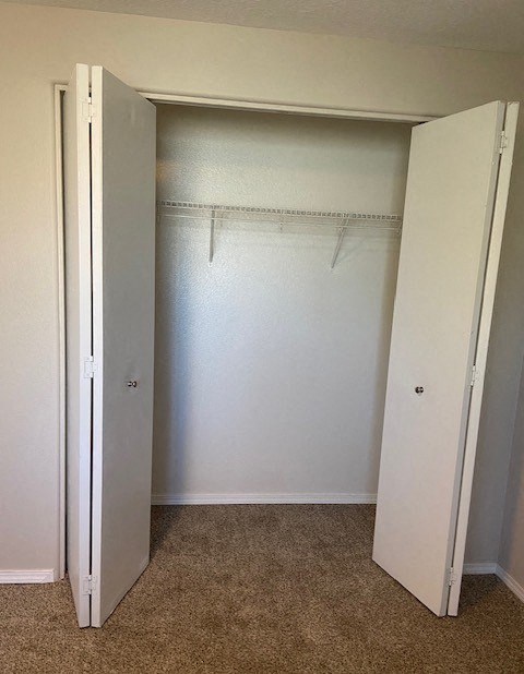 A white closet with a carpeted floor and no clothes.