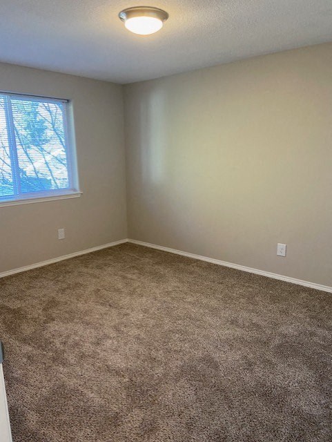A room with a carpeted floor and a window.