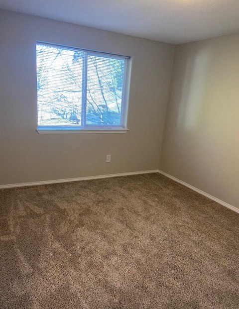 A room with a carpeted floor and a window.
