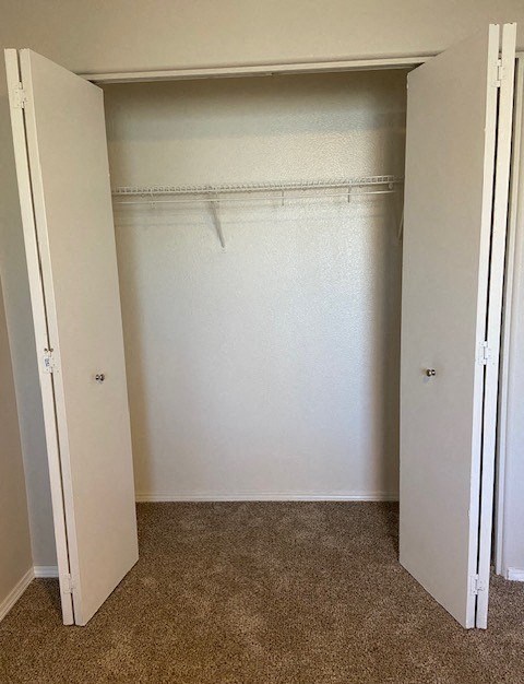A white closet with a shelf and a carpeted floor.