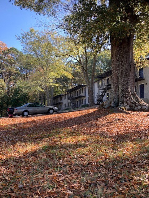 a car parked next to a tree in a yard