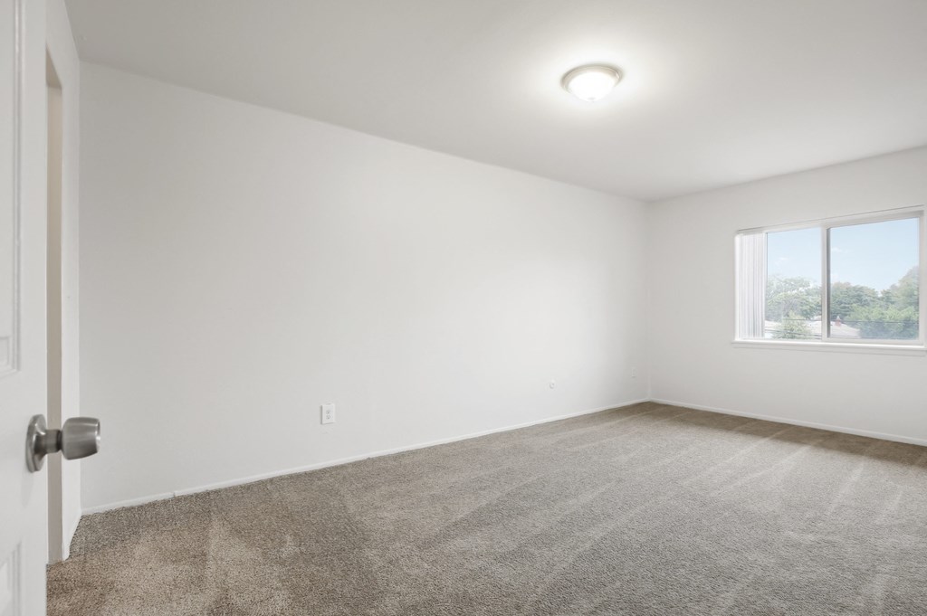A room with a carpeted floor, a door, and a window.