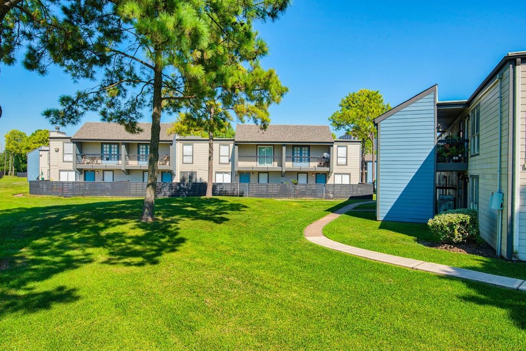 A tree stands in front of a building with a blue sky in the background.