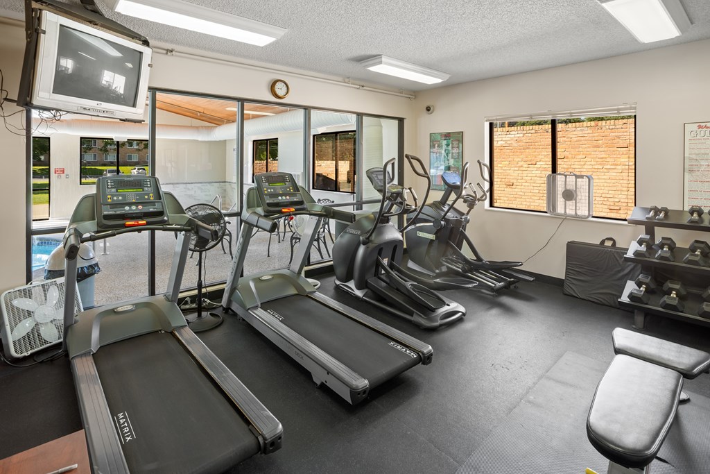 A gym with treadmills, exercise bikes, and other equipment.