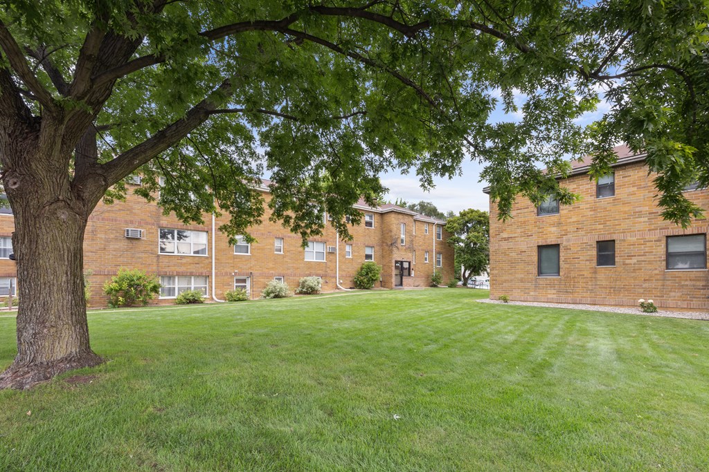 A tree in front of a brick building.