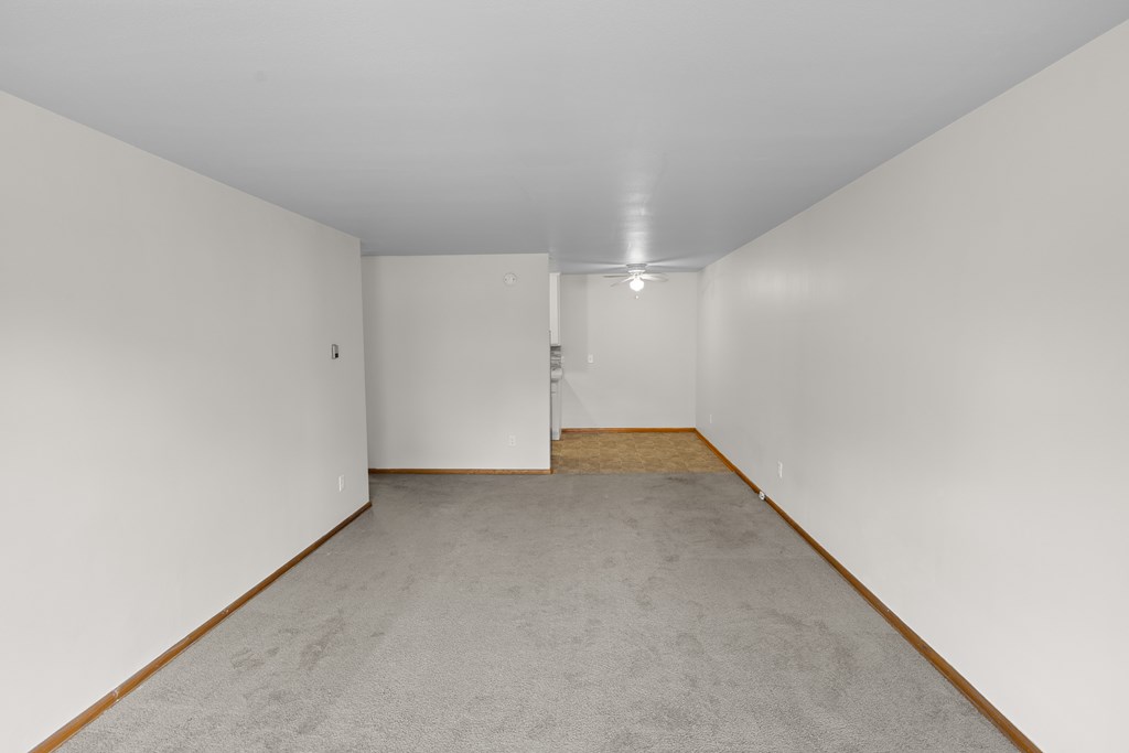 A room with white walls and carpeted floor.