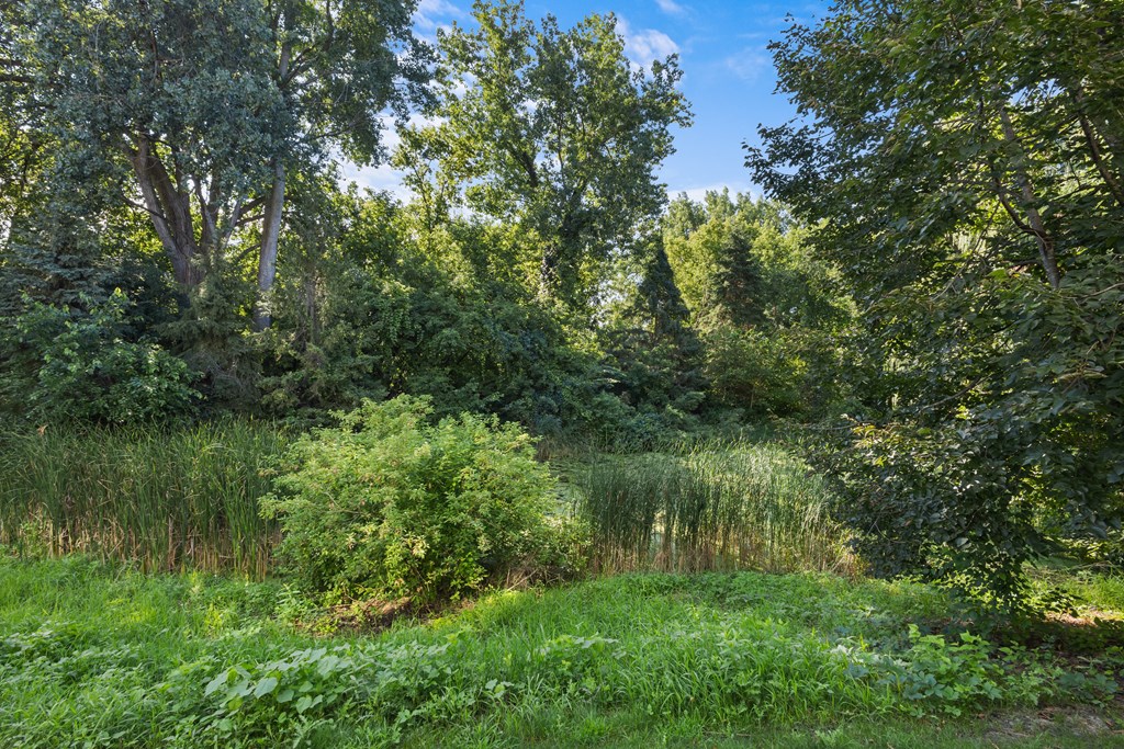 A lush green forest with a clear blue sky above.