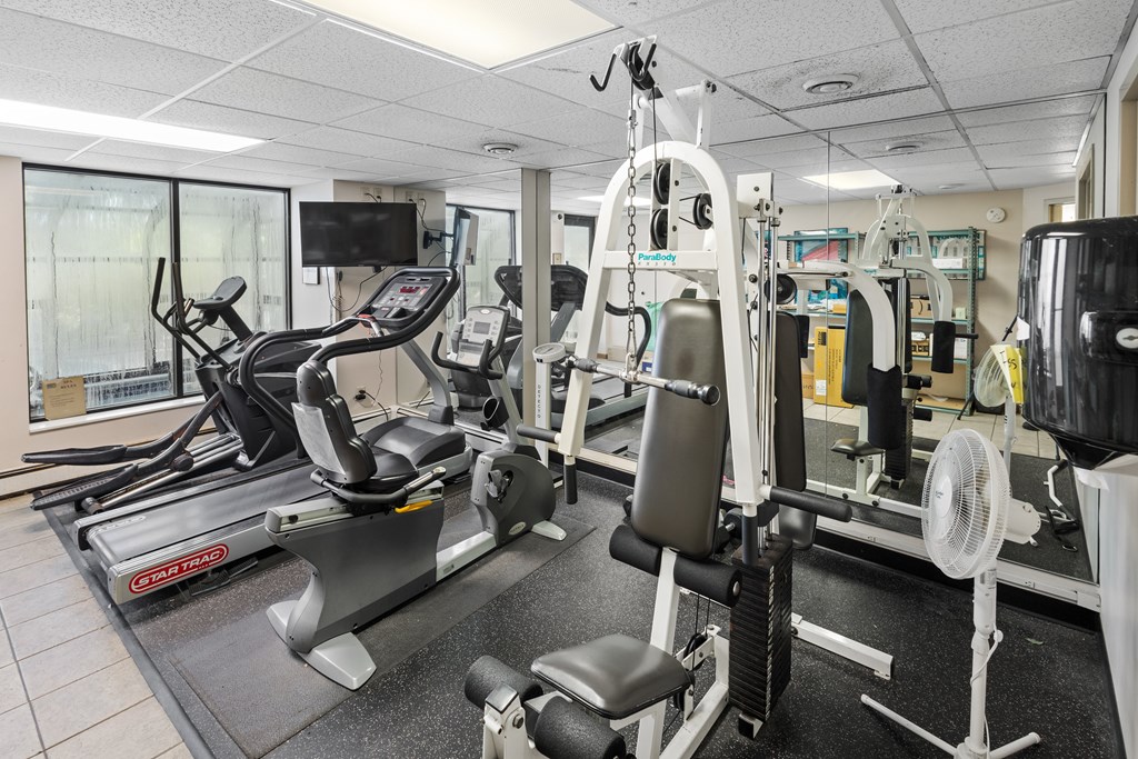 A gym with treadmills, weights, and exercise equipment.
